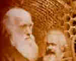 Darwin Marx
