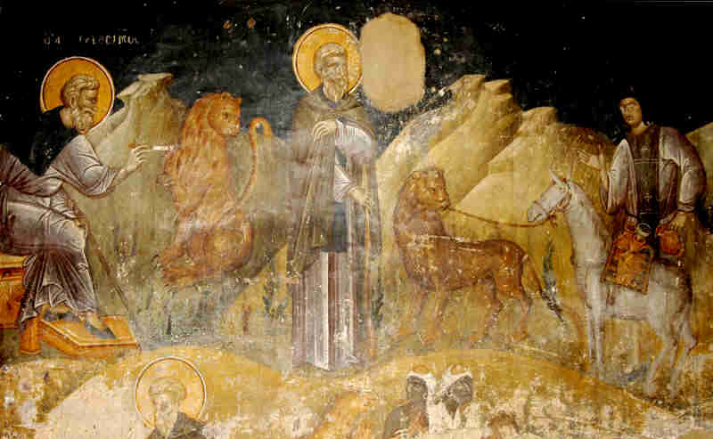Св. преп.. Герасий Йордански и лъва. Фреска от XIV в. в храма "Св. Николай Орфанос" в Солун. Източник: pravicon.com